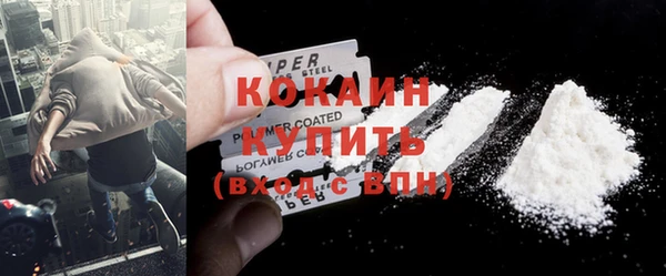 прущие грибы Саяногорск