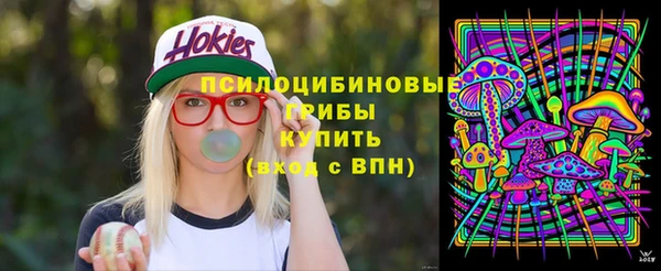 apvp Армянск